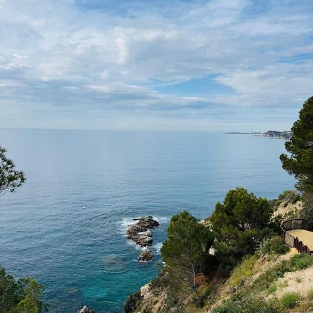 Studio Acapulco Lloret de Mar Dış mekan fotoğraf